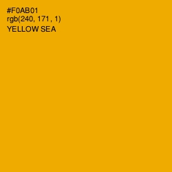 #F0AB01 - Yellow Sea Color Image
